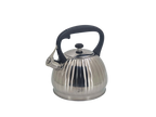 3Liter Whistling tea kettle, stainless steel teapot, polished with heat-resistant handle ALPENBURG
