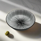 10.5"Flat plate DANNY HOME 105P 2010