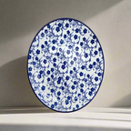 10.5"Flat plate DANNY HOME 105P 2011
