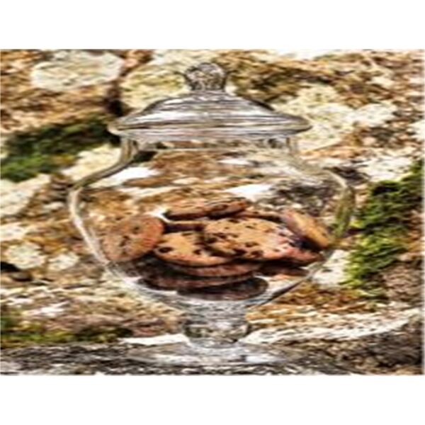 Glass storage jar  DANNY HOME  CB-52